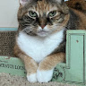 Meet your Posher, Claire